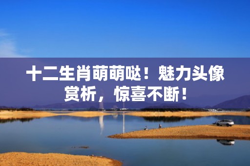 十二生肖萌萌哒！魅力头像赏析，惊喜不断！