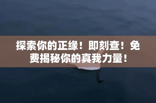 探索你的正缘！即刻查！免费揭秘你的真我力量！