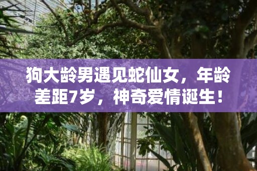 狗大龄男遇见蛇仙女，年龄差距7岁，神奇爱情诞生！