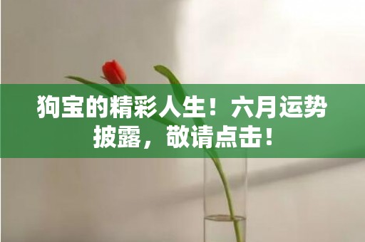 狗宝的精彩人生！六月运势披露，敬请点击！