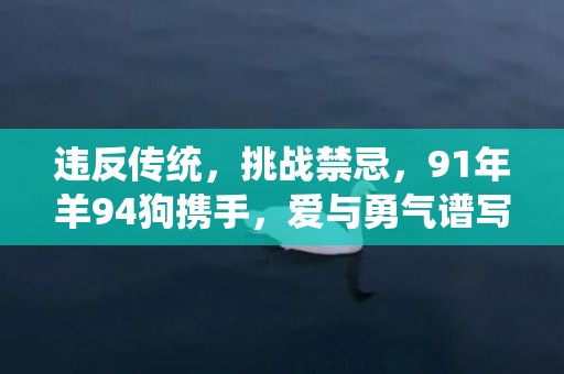 违反传统，挑战禁忌，91年羊94狗携手，爱与勇气谱写新篇章