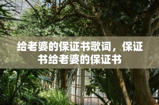 给老婆的保证书歌词，保证书给老婆的保证书