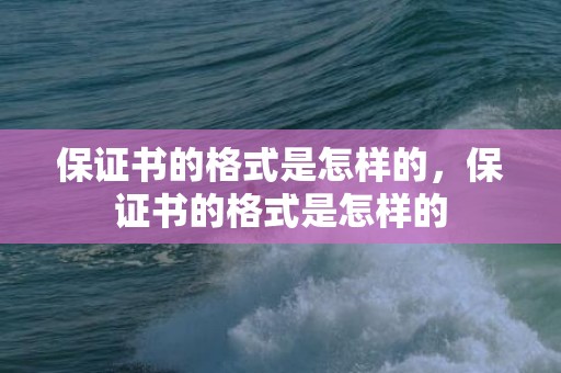保证书的格式是怎样的，保证书的格式是怎样的