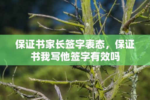 保证书家长签字表态，保证书我写他签字有效吗