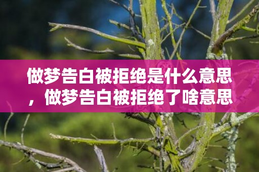 做梦告白被拒绝是什么意思，做梦告白被拒绝了啥意思