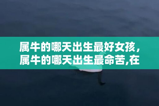 属牛的哪天出生最好女孩，属牛的哪天出生最命苦,在什么时候
