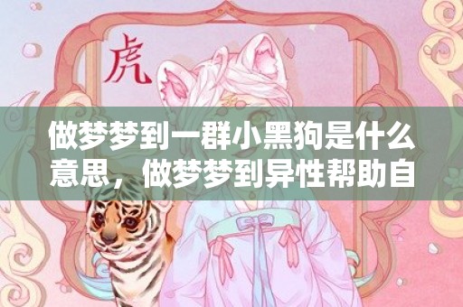 做梦梦到一群小黑狗是什么意思，做梦梦到异性帮助自己