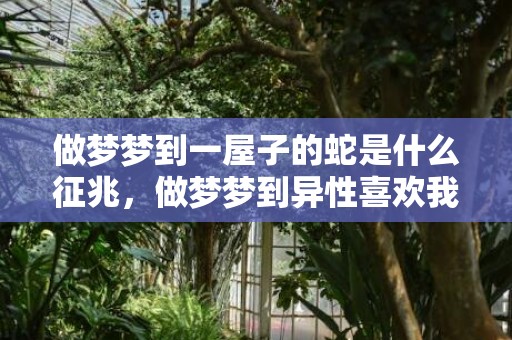 做梦梦到一屋子的蛇是什么征兆，做梦梦到异性喜欢我了