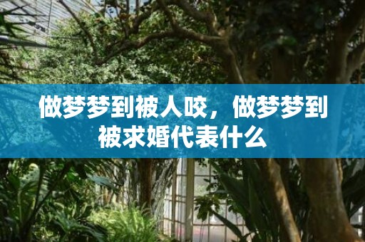 做梦梦到被人咬，做梦梦到被求婚代表什么