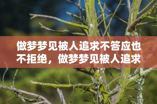 做梦梦见被人追求不答应也不拒绝，做梦梦见被人追求表白