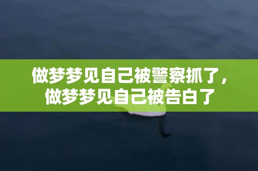 做梦梦见自己被警察抓了，做梦梦见自己被告白了