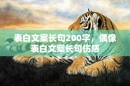 表白文案长句200字，偶像表白文案长句伤感