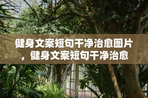 健身文案短句干净治愈图片，健身文案短句干净治愈