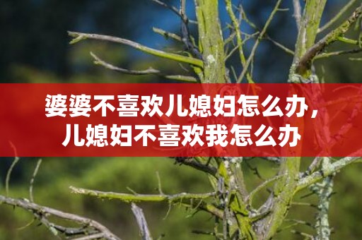 婆婆不喜欢儿媳妇怎么办，儿媳妇不喜欢我怎么办