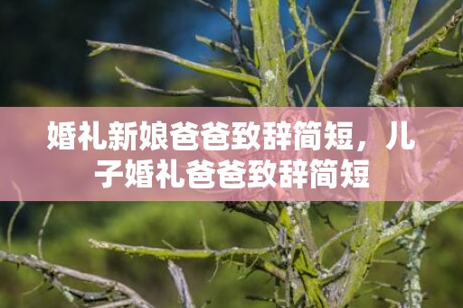 婚礼新娘爸爸致辞简短，儿子婚礼爸爸致辞简短