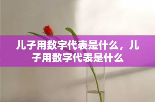 儿子用数字代表是什么，儿子用数字代表是什么