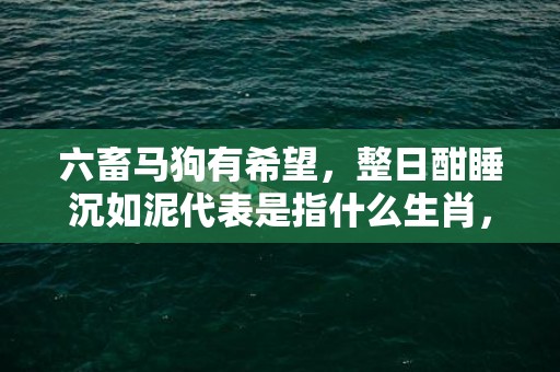 六畜马狗有希望，整日酣睡沉如泥代表是指什么生肖，精准解释落实