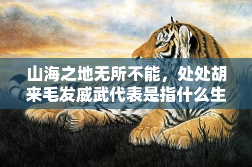 山海之地无所不能，处处胡来毛发威武代表是指什么生肖，精准解释落实
