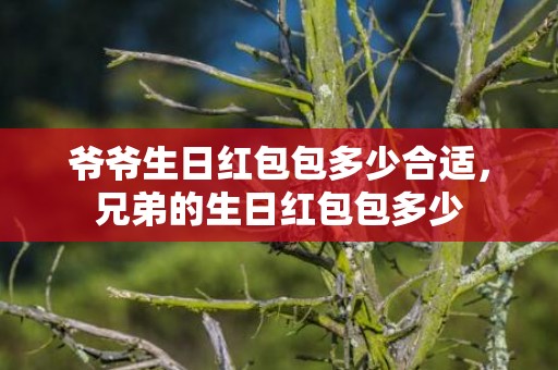 爷爷生日红包包多少合适，兄弟的生日红包包多少