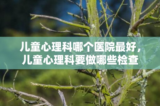 儿童心理科哪个医院最好，儿童心理科要做哪些检查