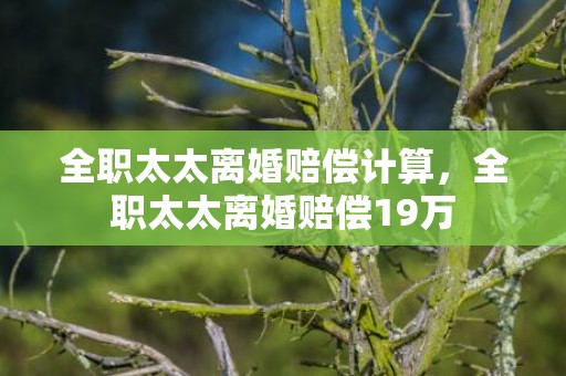 全职太太离婚赔偿计算，全职太太离婚赔偿19万