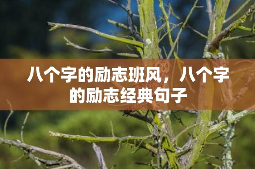 八个字的励志班风，八个字的励志经典句子