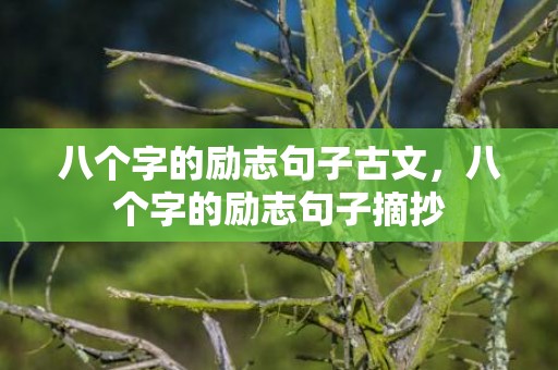 八个字的励志句子古文，八个字的励志句子摘抄