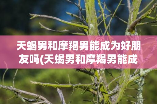 天蝎男和摩羯男能成为好朋友吗(天蝎男和摩羯男能成为好朋友吗)