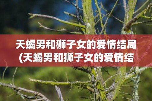 天蝎男和狮子女的爱情结局(天蝎男和狮子女的爱情结局)