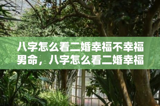 八字怎么看二婚幸福不幸福男命，八字怎么看二婚幸福不幸福