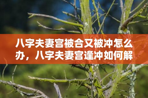 八字夫妻宫被合又被冲怎么办，八字夫妻宫逢冲如何解救