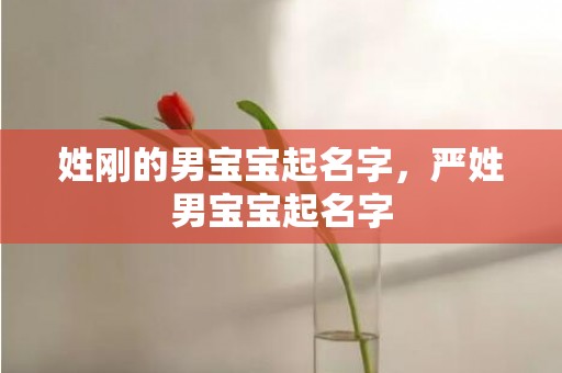 姓刚的男宝宝起名字，严姓男宝宝起名字