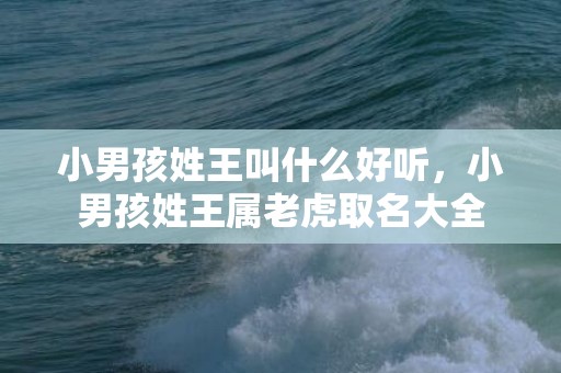 小男孩姓王叫什么好听，小男孩姓王属老虎取名大全