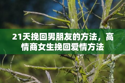 21天挽回男朋友的方法，高情商女生挽回爱情方法