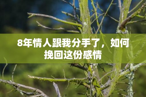 8年情人跟我分手了，如何挽回这份感情