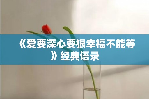 《爱要深心要狠幸福不能等》经典语录