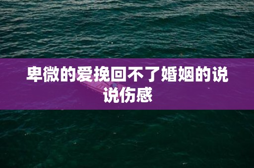 卑微的爱挽回不了婚姻的说说伤感