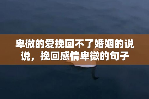 卑微的爱挽回不了婚姻的说说，挽回感情卑微的句子