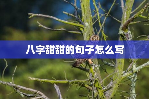 八字甜甜的句子怎么写