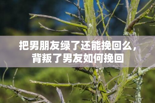把男朋友绿了还能挽回么，背叛了男友如何挽回