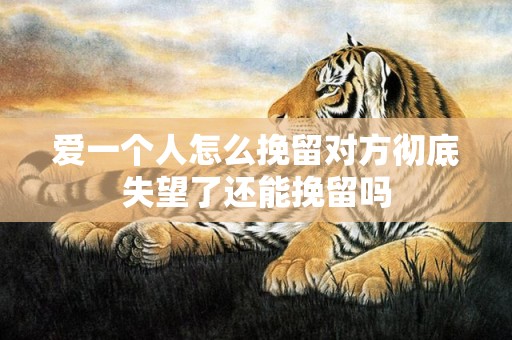 爱一个人怎么挽留对方彻底失望了还能挽留吗