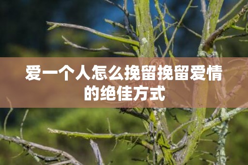爱一个人怎么挽留挽留爱情的绝佳方式