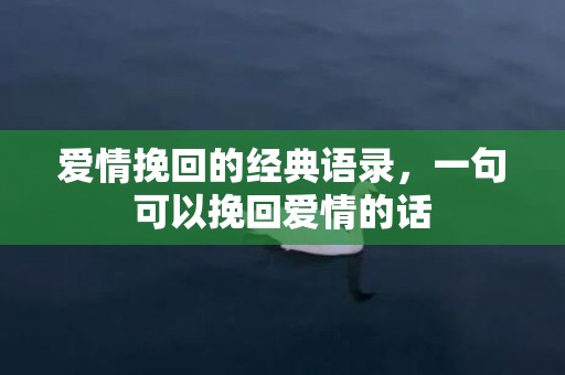 爱情挽回的经典语录，一句可以挽回爱情的话