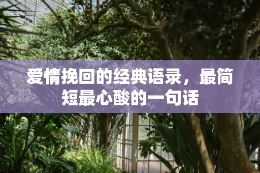 爱情挽回的经典语录，最简短最心酸的一句话