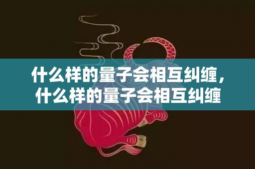什么样的量子会相互纠缠，什么样的量子会相互纠缠