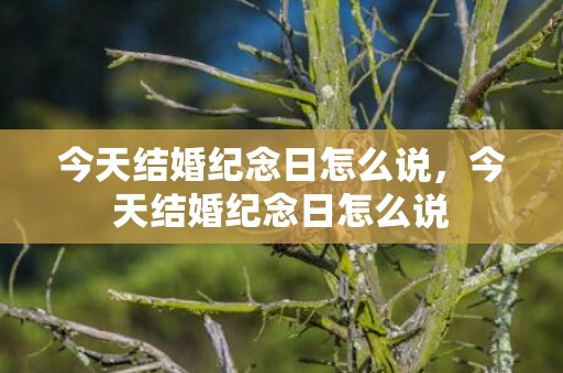 今天结婚纪念日怎么说，今天结婚纪念日怎么说