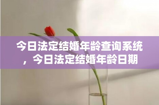 今日法定结婚年龄查询系统，今日法定结婚年龄日期