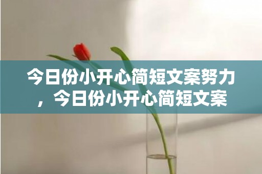 今日份小开心简短文案努力，今日份小开心简短文案