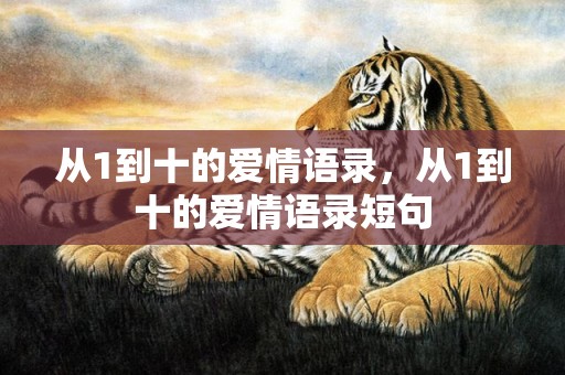 从1到十的爱情语录，从1到十的爱情语录短句