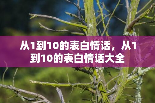 从1到10的表白情话，从1到10的表白情话大全